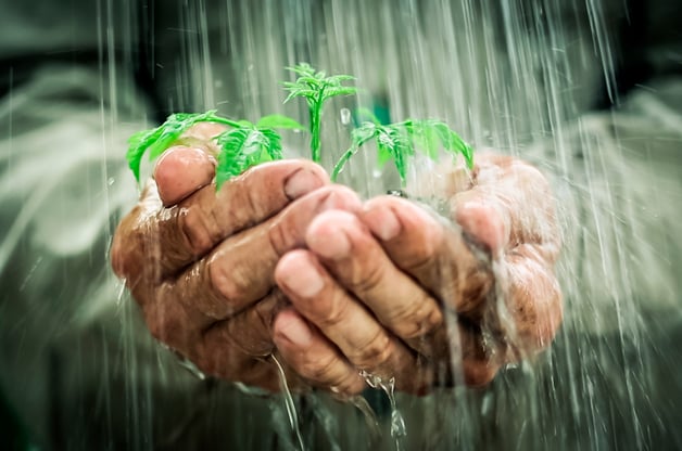 ahorrar agua y energía