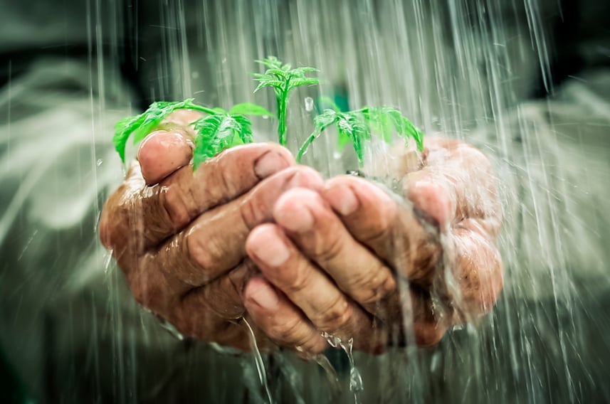 ahorrar agua y energía