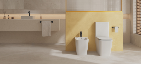 inodoros-suspendidos-suelo